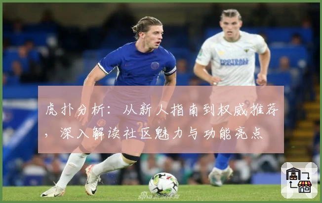 虎扑分析：从新人指南到权威推荐，深入解读社区魅力与功能亮点